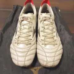 Item thumbnail for item 2dac4fc4-3006-42f7-bb9f-491eedb51b68