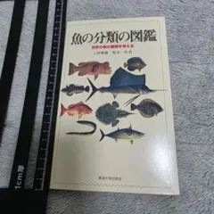 Item thumbnail for item c05f7044-3f63-4e06-9f9c-1d42df9a1dd9