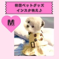 SALE★新品★わんこ服　ワンピース　ペット ドッグウェア 犬 服　オシャレ