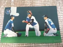 大谷翔平 2014 ハイライトフォト No.360 日本ハム 球団公式写真