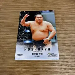 豊昇龍 大相撲 レギュラーカード BBM 2025 INFINITY - メルカリ