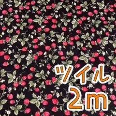 Item thumbnail for item 3f7dc1ea-457c-4c25-9e50-29443222cff8