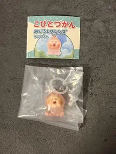 こびとづかん めじるしフレンズ クリアver. カクレモモジリ