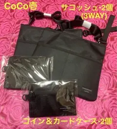 Item thumbnail for item 433a3066-97c8-42ec-8600-acded70a0063