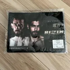 Item thumbnail for item 8d386646-5d18-486f-9008-c40b1518ebb6