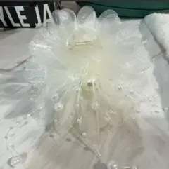 Item thumbnail for item 8fba1f41-96ef-4177-b631-77a4b50d6647