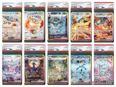 【ALL PSA10】テラスタルフェス ブイズ sar 10連番 コンプリート