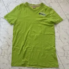 Hollister ライムグリーン Tシャツ M