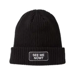 CARPE DIEM × BEDWIN ニットキャップ　キムタク CARPE DIEM × BEDWIN ニットキャップ キムタク - メルカリ