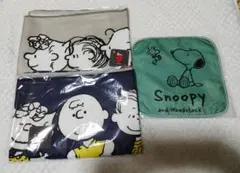 Item thumbnail for item 5cd98f46-1347-4b9f-a7a3-9066afb2e357