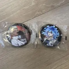 アニメキャラクターディズニー 缶バッジ 2個セット