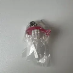 ポケモン めじるしアクセサリー シャリタツ ガチャ