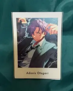 あんスタ　乙狩アドニス　ぱしゃっつ　カード