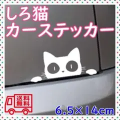 白猫 ステッカー 車 窓ガラス カーステッカー 防水 猫