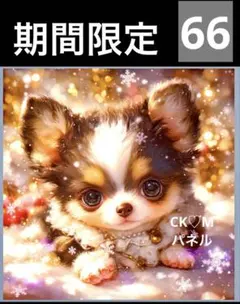 期間限定レアパネル生地　新柄　チワワ　犬パネル生地