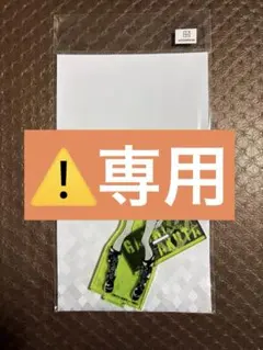 専用
