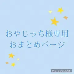 おやじっち様専用おまとめページ