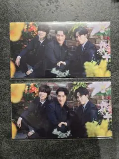 【2枚セット】WAVE 深澤辰哉 宮舘涼太 岩本照 チケットホルダー