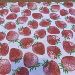 ◆KIYOHARA◆ お気に入りシリーズ　ストロベリー柄　オックス　50㎝