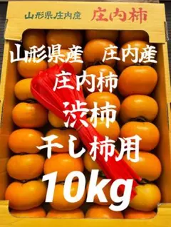 hareoyaji.103様専用となります。 ネット15本お付けいたします。