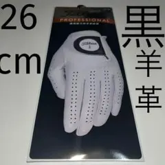 Item thumbnail for item f0f91fd2-838c-4525-8263-70dd65e19e5d