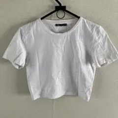 ZARA レディース クロップドTシャツ Sサイズのサムネイル