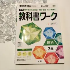 Item thumbnail for item 47edfcf2-a44d-4870-9e52-5a0239de16ee