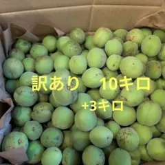 0️⃣4️⃣ 山梨県産 甲州小梅 (中熟) 箱込10キロ - メルカリ