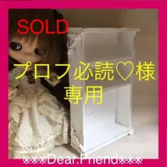 プロフ必読様❤️専用