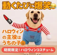 【SALE】犬服 コスプレ 2着まとめ売り Lサイズ対応 ハロウィン