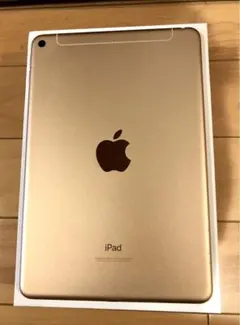 Apple iPad mini5 256GB simフリー セルラーモデル