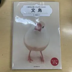 Item thumbnail for item a8c5979b-d509-4319-be4f-3587a008bdec