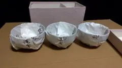 Item thumbnail for item 8255d9fe-eede-4108-927c-c2ca694707b2