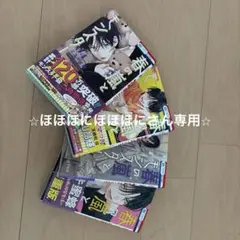 春の嵐とモンスター全4巻セット