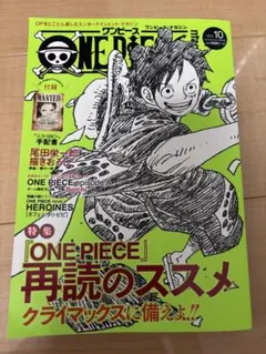 ONE PIECE magazine Vol.10