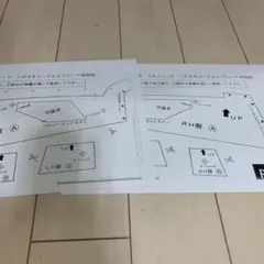 アルファード 30 後期 エアロボディ シグネチャーイルミブレード 取付 型紙のサムネイル