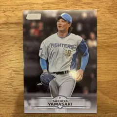 333円2つ購入で499円にします(^^)山﨑福也