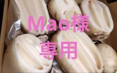 Mao様専用