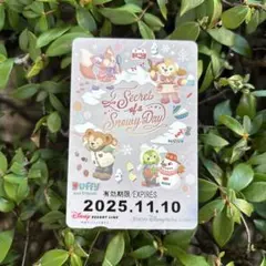 【未使用・有効期限切れ】30周年記念ディズニーリゾートライン2DAYPASS Amazon | 【東京ディズニーリゾート 30周年 リゾートライン トミカ