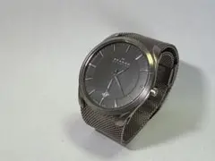 【時計】SKAGEN(スカーゲン) SKW6010のサムネイル
