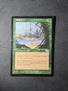 2026年最新】MTG 踏査の人気アイテム - メルカリ