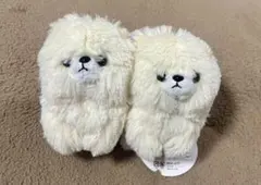 【ROUND1限定】ポメラニアン わんわんフレンズマスコット 2体セット