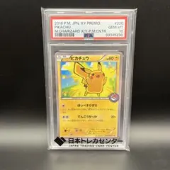 2026年最新】ポケモンカード ピカチュウ 206/XY-P プロモの人気