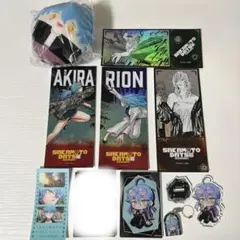 ※まとめ売りこの価格は14日まで　赤尾晶　リオン　まとめ売り
