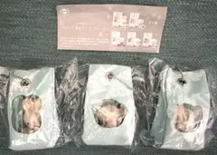 ベビーくまカステラフローズン　3種セット