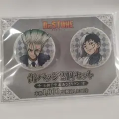 Dr.STONE 缶バッジ2個セット