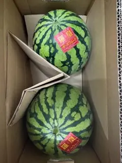 尾花沢西瓜 4Lサイズ JA全農山形 特産東部 - メルカリ