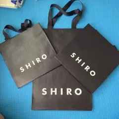 Item thumbnail for item b9cfcee5-08e1-4550-8a4c-1c796d9acc03