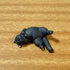 ZooZooZooシリーズ第4弾　のんきだ寝