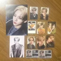 サンウォン ALD1 トレカセット フライヤー 特典